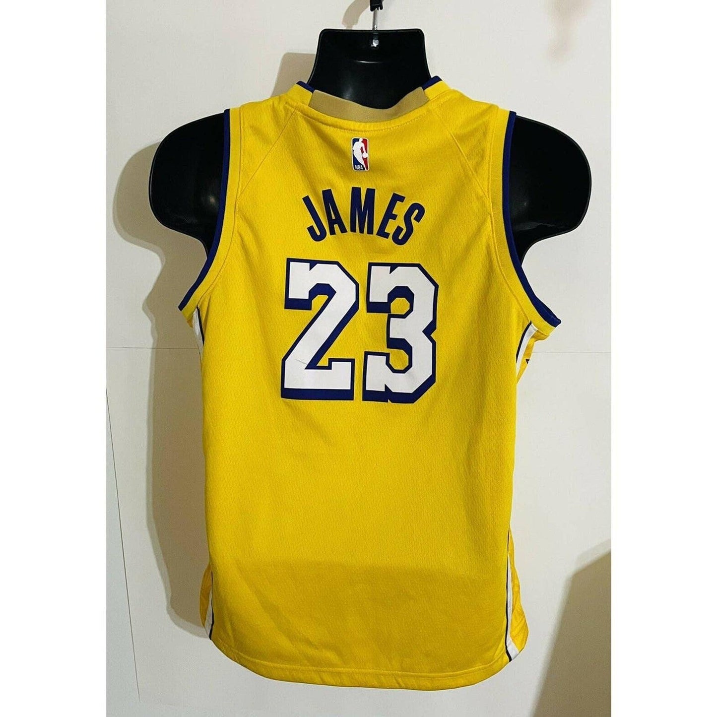 Authentic NBA Nike Los Angeles Lakers LeBron James Lore Series Swingman Jersey