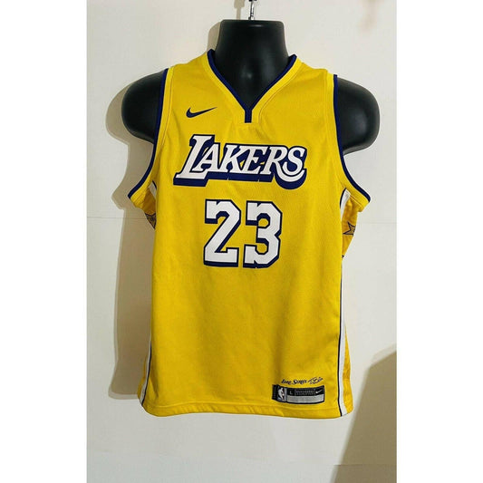 Authentic NBA Nike Los Angeles Lakers LeBron James Lore Series Swingman Jersey